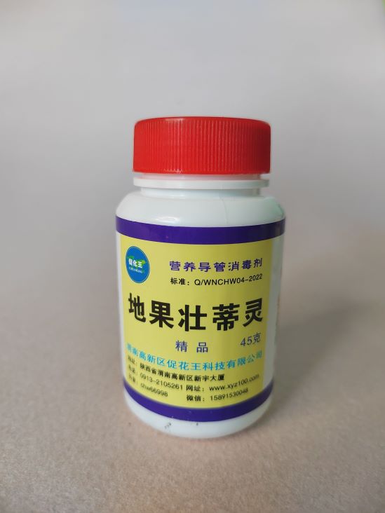 地果45(1)(1).jpg 地果45(1)(1).jpg