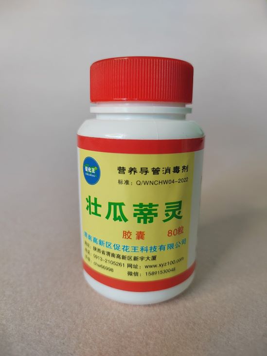壮瓜80(1)(1).jpg 壮瓜80(1)(1).jpg