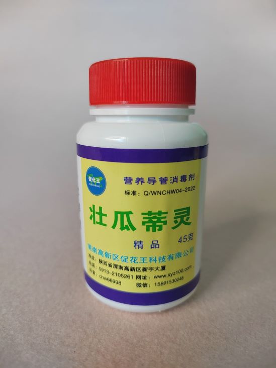 壮瓜45(1)(1).jpg 壮瓜45(1)(1).jpg