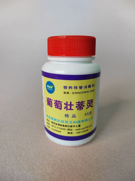 葡萄45(1)(1).jpg 葡萄45(1)(1).jpg