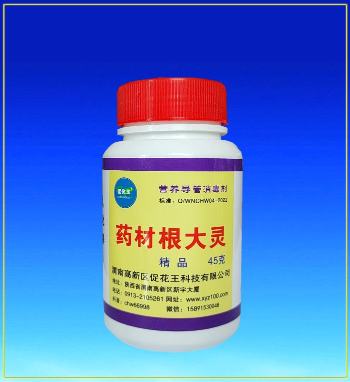 药材根大1.jpg 药材根大1.jpg