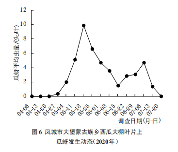 图片9.png 图片9.png